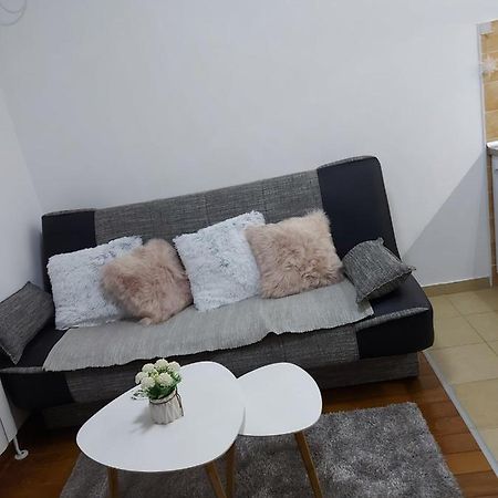 Pegaz014 Apartment Vrnjačka Banja Екстериор снимка