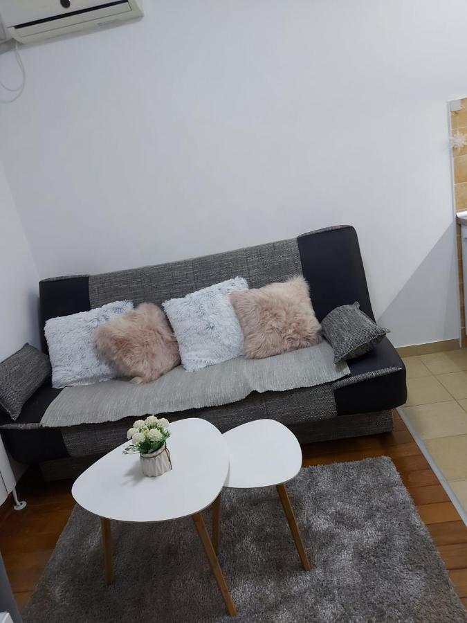 Pegaz014 Apartment Vrnjačka Banja Екстериор снимка